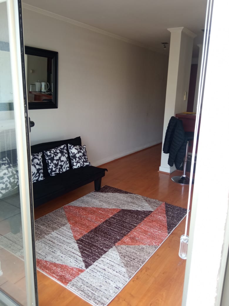 departamento por dia en providencia